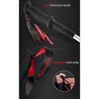 Трекінгова палиця 3-секційна Naturehike ST06 NH17D006-D 1 шт Срібляста (6927595748602)