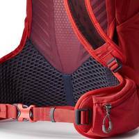 Туристичний рюкзак Gregory Miko 20 BioSync Sumac red (145275/9973)