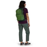 Міський рюкзак Osprey Daylite Plus 20л green belt/green canopy (009.3726)
