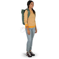 Міський рюкзак Osprey Arcane Roll Top 22л purple dusk heather (009.001.0198)
