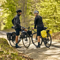 Набір велосипедних сумок Thule Shield Pannier 13L Black (TH 3204205)