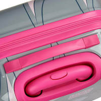 Дитяча валіза Roncato Looney Tunes Kids 27 л Сірий (441001/02)