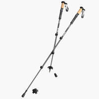 Трекінгові палиці Silva Trekking Aluminium Cork 140 см Black (SLV 38121)