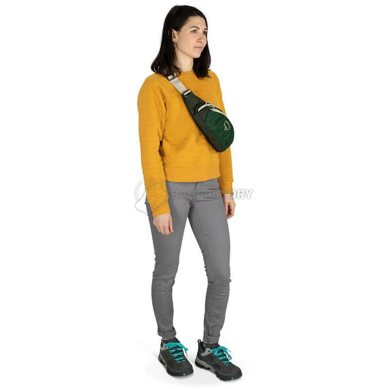 Поясна сумка Osprey Daylite Waist 2L tan concrete (009.3744)