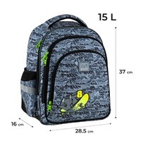 Шкільний рюкзак GoPack Education 2606S-5 Graffity 15л (GO25-2606S-5)