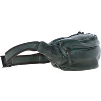 Поясна шкіряна сумка Ashwood D102 Green (D102 GREEN)