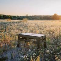 Стіл кемпінговий Tribe Camp Table Low пластиковий 70x44x39.5 см Olive (T-EF-0003-olive)