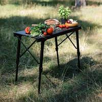 Стіл кемпінговий Tribe Camp Table Alu 86x42x44-68 см Black (T-EC-0005-black)