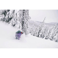 Туристичний рюкзак Osprey Soelden 25 cascade blue/raven black (009.4096)