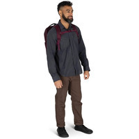 Міський рюкзак Osprey Ozone Laptop Backpack 18л moody burgundy (009.4150)