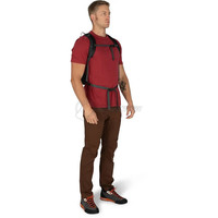 Міський рюкзак Osprey Sportlite 15 alkaline/hotspot pink (009.4054)