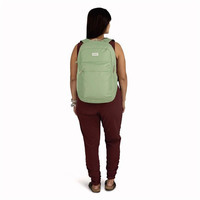 Міський рюкзак Osprey Arcane XL Day 32L botanica (009.3904)