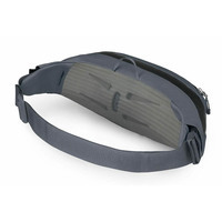 Поясна сумка Osprey Daylite Waist Earth Limited Edition 2L tungsten grey (009.4176)