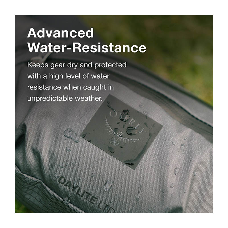 Поясна сумка Osprey Daylite Waist Earth Limited Edition 2L histosol brown (009.4175)