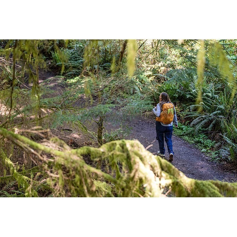 Туристичний рюкзак Exped Skyline 20 black M/L (018.1238)