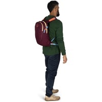 Міський рюкзак Osprey Daylite 13л moody burgundy (009.4132)