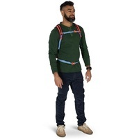 Міський рюкзак Osprey Daylite 13л moody burgundy (009.4132)