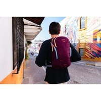 Міський рюкзак Osprey Daylite 13л moody burgundy (009.4132)