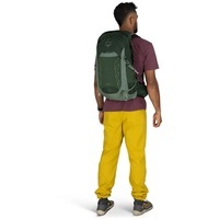 Туристичний рюкзак Osprey Talon 22 Green (009.4077)