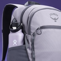 Міський рюкзак Osprey Axis 24L Grey (009.3936)