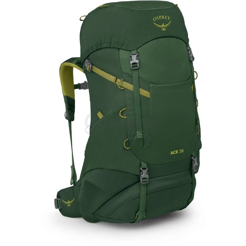 Туристичний рюкзак Osprey Ace 38 green canopy (009.3888)