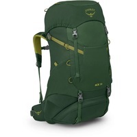 Туристичний рюкзак Osprey Ace 38 green canopy (009.3888)