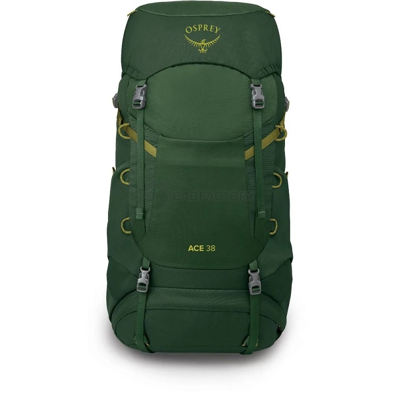 Туристичний рюкзак Osprey Ace 38 green canopy (009.3888)